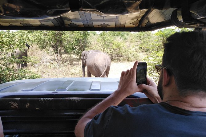 A Udawalawa Park safari, Tour from Colombo/Galle- (All inclusive) - Lunch and refreshment timing: rice and curry in the middle of the day