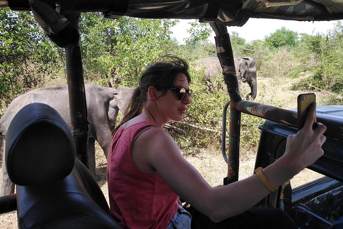A Udawalawa Park safari, Tour from Colombo/Galle- (All inclusive) - Private tour feel: air-conditioned comfort plus your own group