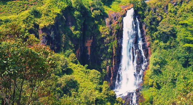 All in one Sri lanka 7nights 8 days for couple price - What the Guides Seem to Get Right (Mr. Sujith and Sajid)