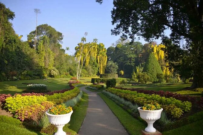 All Inclusive Kandy Private Day Tour From Colombo and Negombo - Damro Labookellie Tea Centre and Tea Gardens