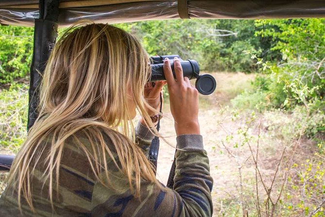 All Inclusive Leopard Nest Treehouse Safari in Yala - Who this Yala Leopard Nest glamping is best for