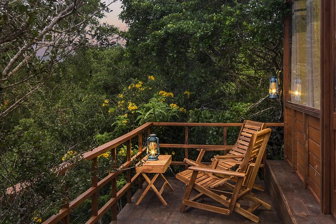 All Inclusive Leopard Nest Treehouse Safari in Yala - Day 1 schedule: pickup, Yala Junction, and the evening safari