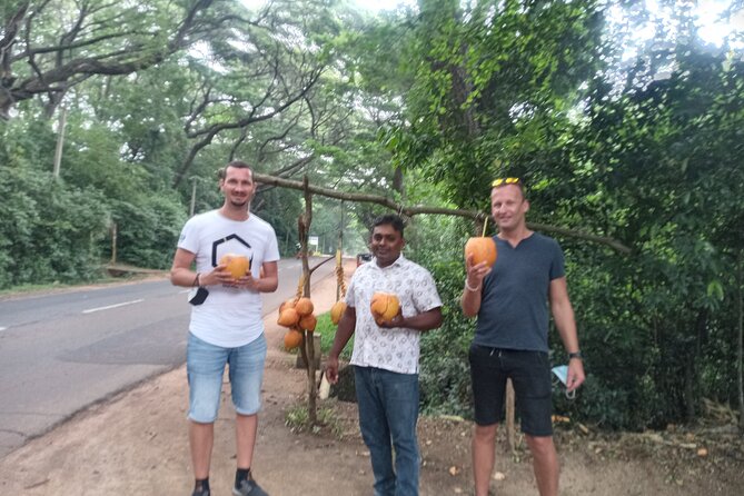 All inclusive Private day trip Sigiriya and Dambulla caves with more - Lunch Timing, Ariya Restaurant, and Keeping Your Budget Honest
