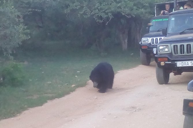 All inclusive Private jeep safari at Yala National park - Key takeaways before you book