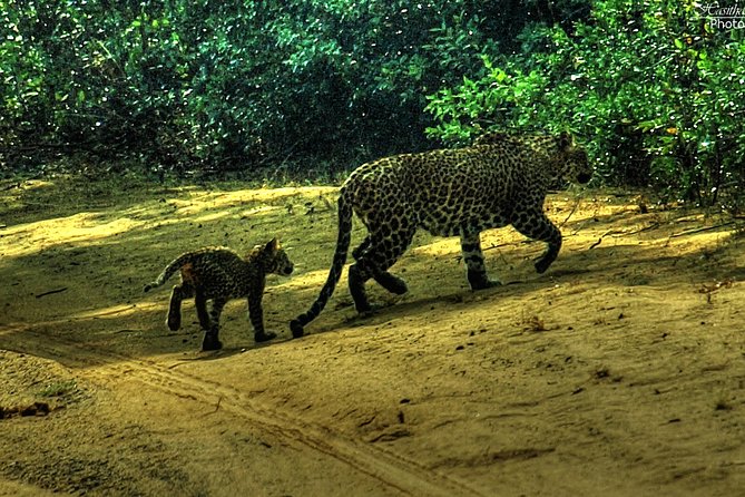 All inclusive Private jeep safari at Yala National park - Tissamaharama drop-off: how the day ends