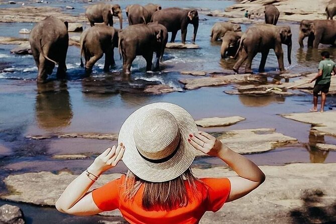 All-Inclusive Private tour in Sri Lankan Island 9 Day HB hotels - Private Chauffeur and AC Car: the Real Benefit of This 9-Day Plan