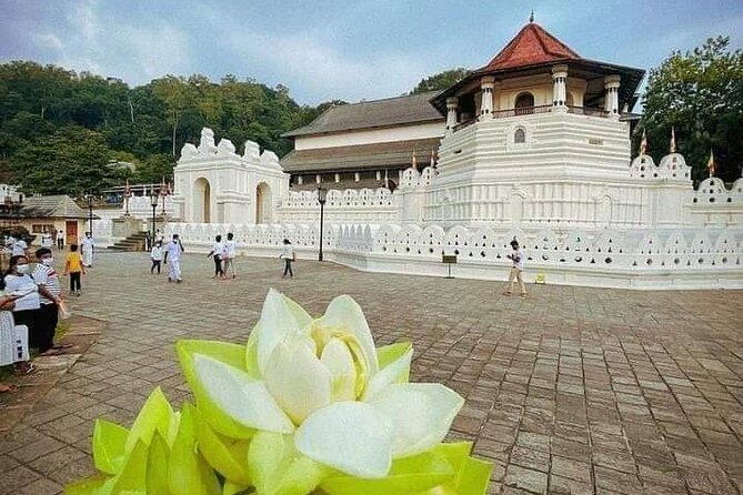 All-Inclusive Private tour in Sri Lankan Island 9 Day HB hotels - Dambulla Cave Temple and Pidurangala: Elephants, Gold Rock Views, and Temples on Schedule