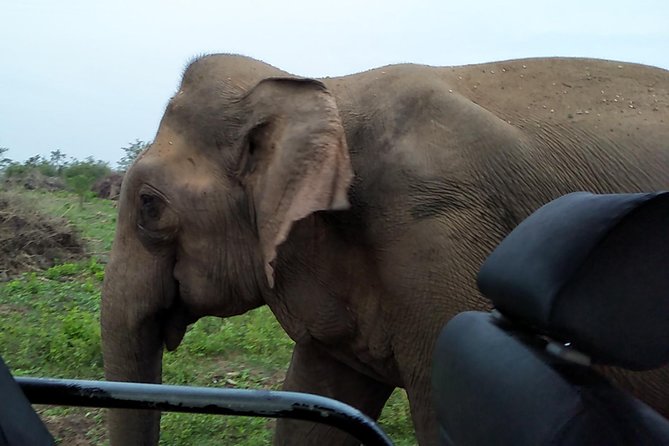 All Inclusive Udawalawe National Park Safari Day Tour from Colombo and Negombo - The 12-hour day from Colombo and Negombo, what the timing means for you