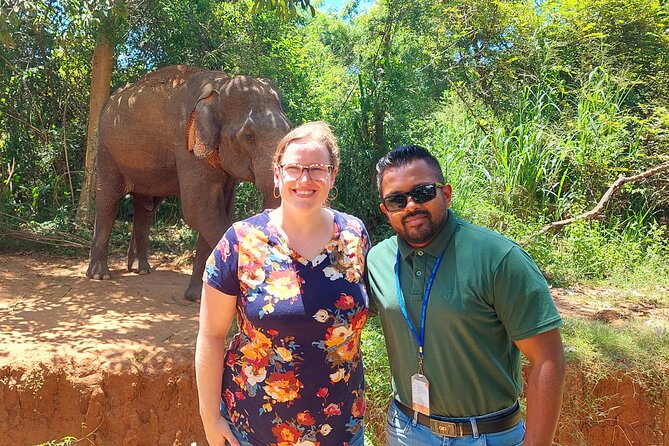 All Inclusive Udawalawe National Park Safari Day Tour from Colombo and Negombo - Value and price: is $335 a smart trade for your time?