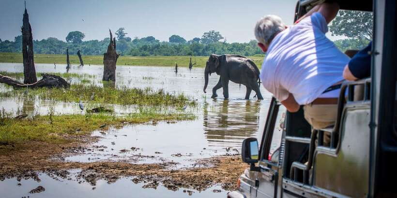 All inclussive Udawalawa National Park Safari From Colombo - Getting back to Colombo: shared transport, shared timing