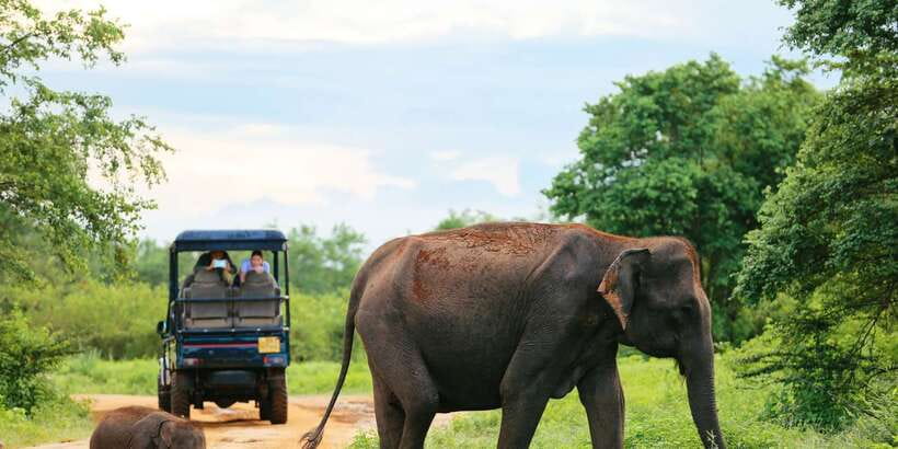 All inclussive Udawalawa National Park Safari From Colombo - Colombo to Udawalawa: the long drive you have to plan for
