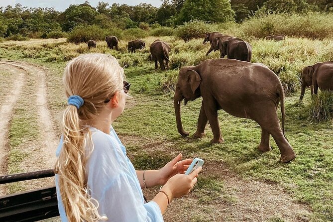All of Sri Lanka within 10 Days - Ella rail magic: Demodara Loop, Upper Diyaluma Waterfall, and the rhythm of hills