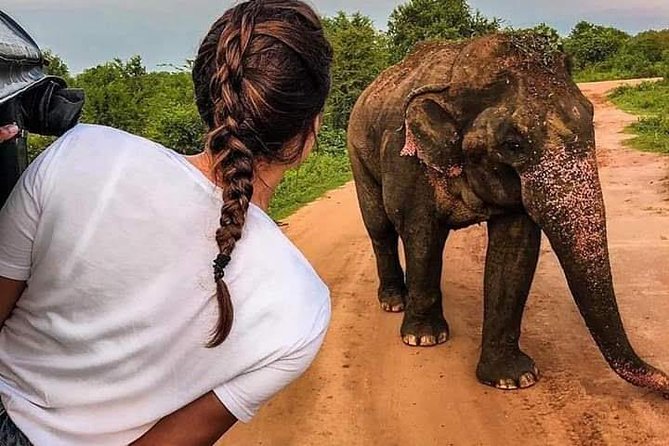 Best Of Sri lanka Tour (06 Days 05 Nights) - Kandy- N.Eliya -Bentota-Colombo - Key things that make this itinerary worth your attention