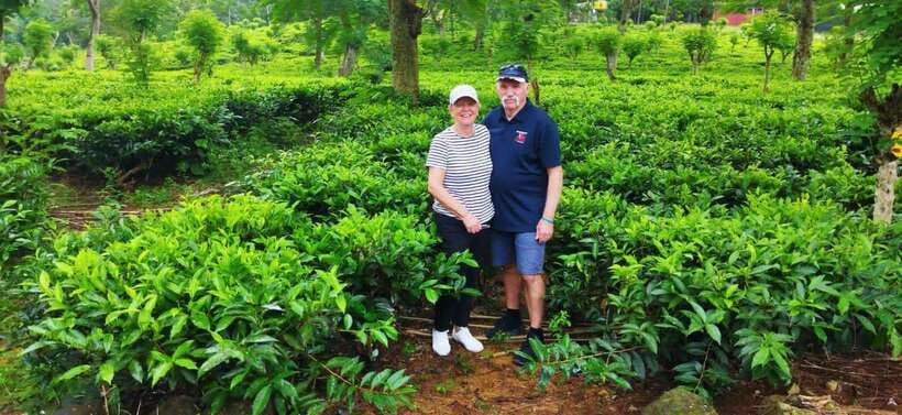 Ceylon Tea Experience from Colombo Port Passenger Terminal - From the Colombo Port Passenger Terminal to the Tea Country
