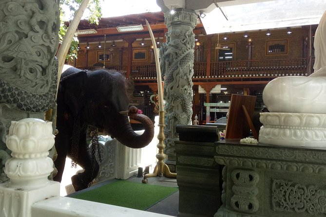 Colombo City Day Tour - Seema Malaka: Meditation-First, Not Worship-First