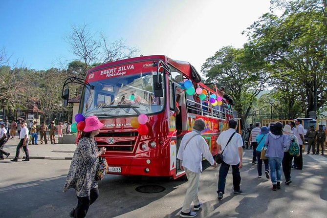 Colombo City Tour by Open-Deck Bus - Open-deck bus comfort, sightlines, and what you actually get
