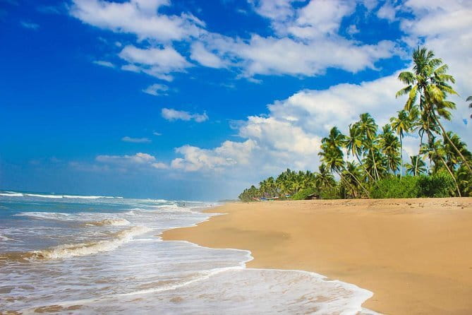 Colombo (CMB) Airport to Kandy City Private Transfer - Price and value check: when it is a smart buy