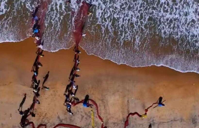 Colombo-Galle Fort, Boat Safari, Turtles, Amazing Group Tour - Key things I’d plan around