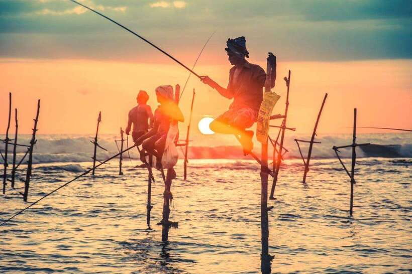 Colombo-Galle Fort, Boat Safari, Turtles, Amazing Group Tour - Kosgoda Sea Turtle Conservation: the hands-on highlight