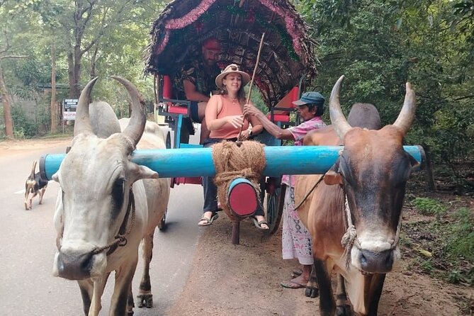 Colombo , Negombo to Trincomalee Transfer and Safari - What wildlife sightings feel like when you’re actually in the action