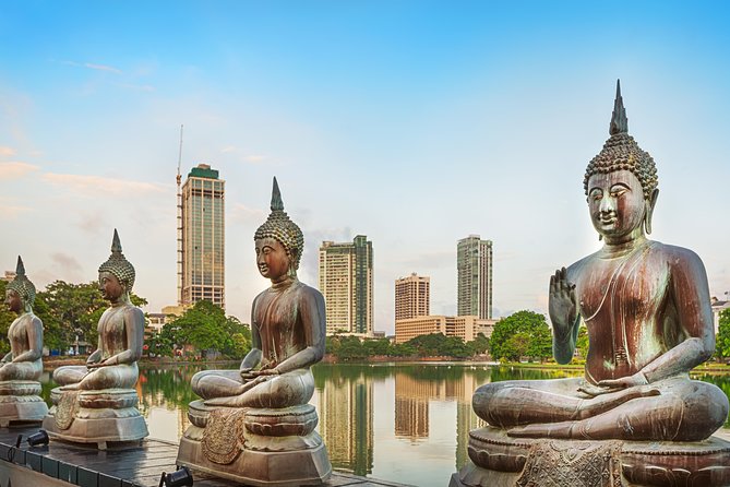 Colombo Port Private Shore excursion and Tours - Price and logistics, without the stress