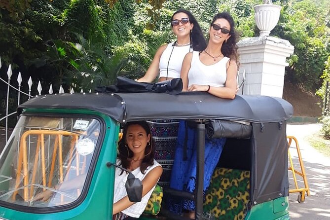 Colombo Private Tuk-Tuk City Tour with All Entry Fees Included - Viharamahadevi Park and Old Town Hall: Where to Breathe, Walk, and Take Photos