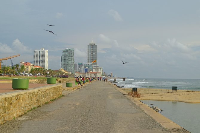 Colombo Shore Excursion from Cruise Port – Private Small Group - Port pickup at the Sri Lanka Ports Authority, then straight into air-conditioned comfort