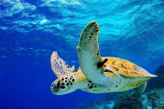Colombo to Galle All Inclusive Private Day Tour - Key Highlights You’ll Really Feel