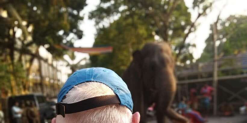 Colombo Tuk Tour with Food and Drinks(morning and evening) - Key things that make this tuk tuk tour worth your time