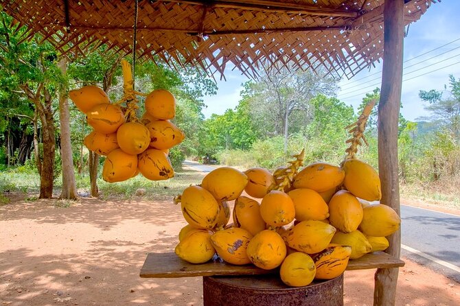Colombo Tuk Tuk Adventure Explore Food & Culture - Temples, a Kovil, and the City’s Living Faith