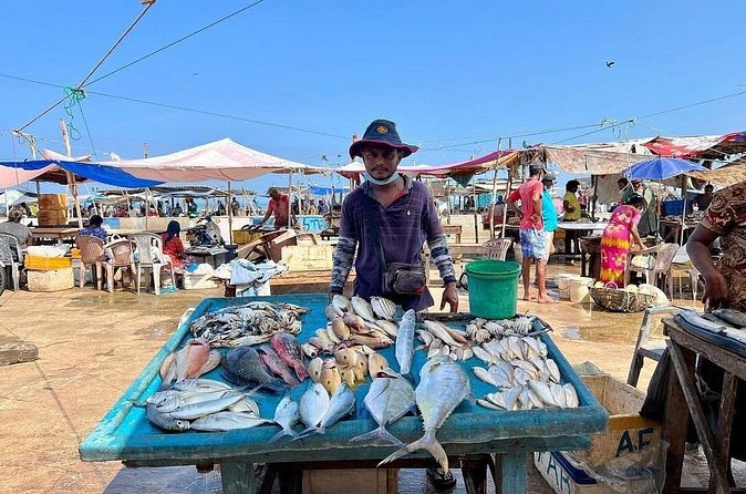Cooking Class and Market Visit in Negombo - Negombo Vegetable Market: how to shop like a local (without feeling lost)