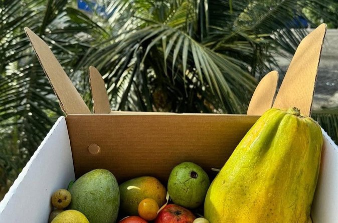 Cooking Class and Market Visit in Negombo - Transfers, group size, and tickets: small details that affect comfort