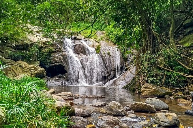Customized Multi-Day Private Tour Packages in Sri Lanka - Day 6: Madu River boat ride, cinnamon island, and sea turtle care