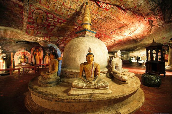 Dambulla & Sigiriya Day Tour from Colombo / Negombo with Lunch - Minneriya National Park: Elephants, Plus the Off-Road Jeep Extra Cost