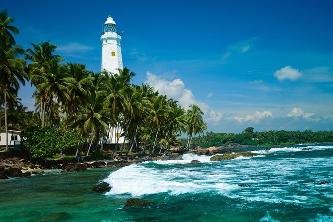 Day Excursions to Galle Fort & Bentota from Colombo - Madu River safari with Buddhi: mangroves, biodiversity, and optional fish massage