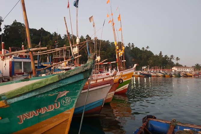 Day tour of Galle - Weligama stilt fishers: the classic photo stop