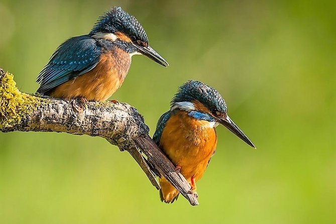 Day Tour to Anawilundawa Wetland Sanctuary - Key Things You’ll Love About This Wetland Day Tour