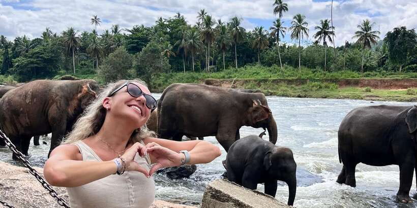 Day Tour to Elephant Orphanage / spice garden - Guides and drivers: where service quality really shows