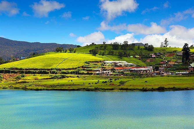 Day Tour to Nuwara Eliya from Kandy by Lux Tours Lanka - Nuwara Eliya’s Little England mood, and what you’ll actually see