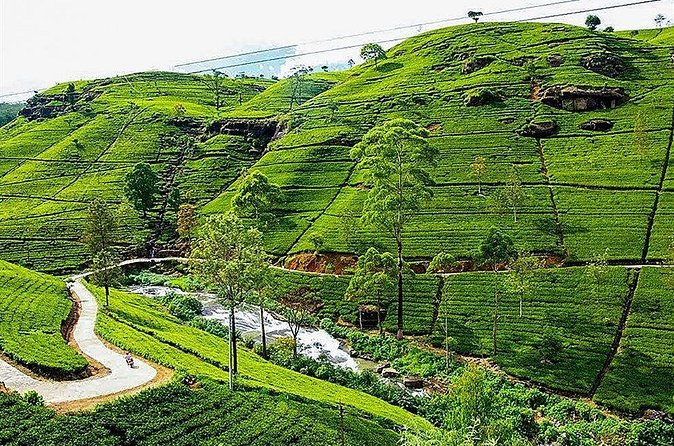 Day Tour to Nuwara Eliya from Kandy by Lux Tours Lanka - Ramboda Waterfall: quick, free, and worth the stop