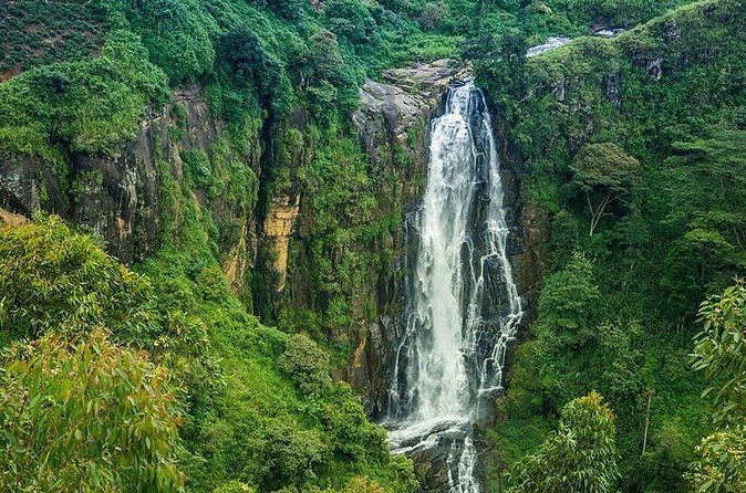 Day Tour to Nuwara Eliya from Kandy by Lux Tours Lanka - Victoria Park in Nuwara Eliya: the town stroll that actually feels nice