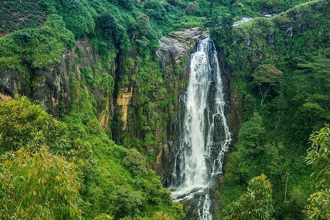 Day Tour to Nuwara Eliya from Kandy by Lux Tours Lanka - Hakgala Botanic Gardens, 10 km from town: roses, Japan-style gardens, and orchid time