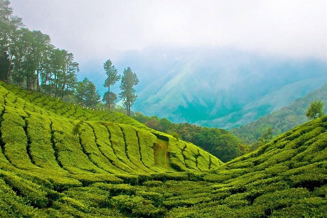 Day Tour to Nuwara Eliya from Kandy by Lux Tours Lanka - Price and logistics: is $160 good value for this itinerary?