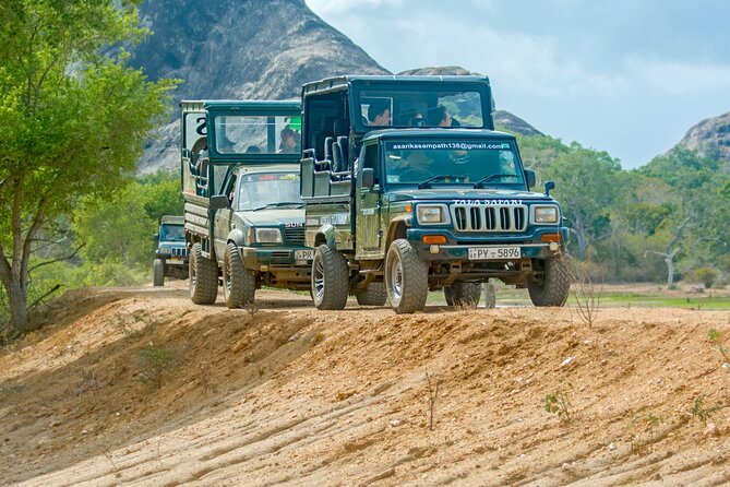 Day Tour to Wilpattu National Park from Colombo - Key Things I’d Watch Before Booking