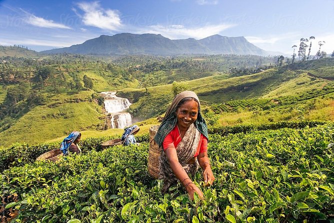 Day Trip to Nuwara Eliya with Kingfisher Tours - Ramboda Falls and Lover’s Leap Falls photo stops