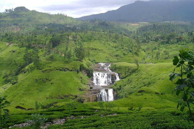 Day Trip to Nuwara Eliya with Kingfisher Tours - Strawberry farm time in Nuwara Eliya, and what to do with 30 minutes