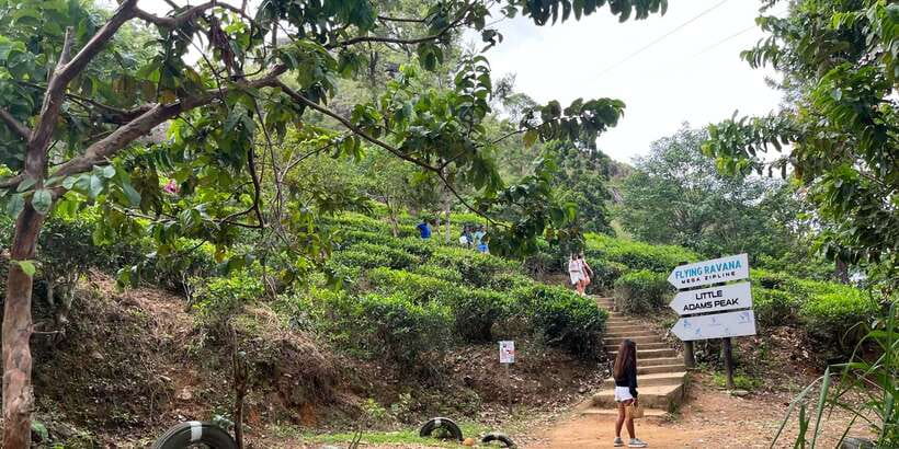 Discover the Best of Sri Lanka in 2 Days - A Two-Day Whirl Through Ella, Tea Country, and Sigiriya