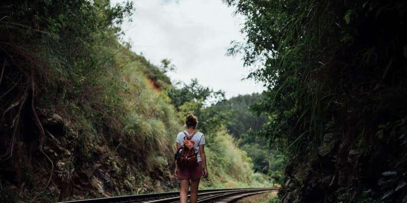 Ella: Tea Factory, Train, and Nine Arch Day Tour with Pickup - How the Ella day trip really feels from pickup