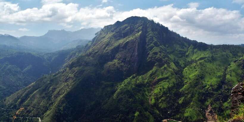 Ella: Tea Factory, Train, and Nine Arch Day Tour with Pickup - Little Adam’s Peak hike: the climb is short, the views do the talking