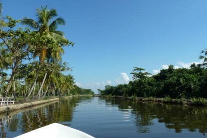 Exclusive: Muthurajawela Bird Watching Tour with Transfers - Key Points Before You Go